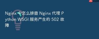 Nginx 中怎么排查 Nginx 代理 Python WSGI 服务产生的 502 故障