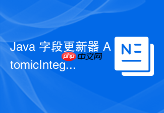 java 字段更新器 atomicintegerfieldupdater 怎么原子修改对象的字段