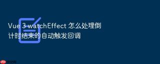 Vue 3 watchEffect 怎么处理倒计时结束的自动触发回调