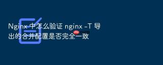 nginx 中怎么验证 nginx -t 导出的合并配置是否完全一致