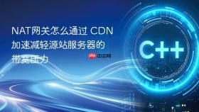 nat网关怎么通过 cdn 加速减轻源站服务器的带宽压力