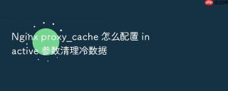 Nginx proxy_cache 怎么配置 inactive 参数清理冷数据