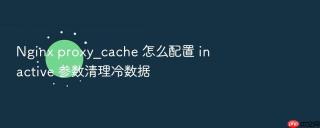 nginx proxy_cache 怎么配置 inactive 参数清理冷数据