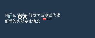 Nginx 请求头转发怎么测试代理前后的头部变化情况