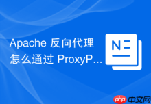 Apache 反向代理怎么通过 ProxyPassReverse 优化用户体验