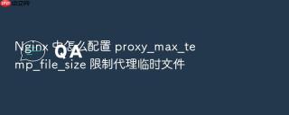 nginx 中怎么配置 proxy_max_temp_file_size 限制代理临时文件