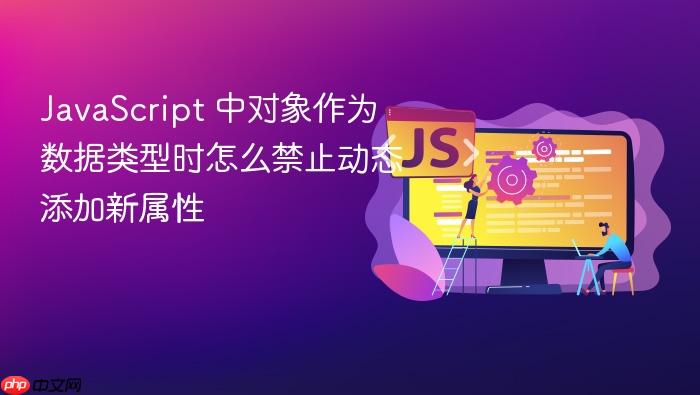 javascript 中对象作为数据类型时怎么禁止动态添加新属性