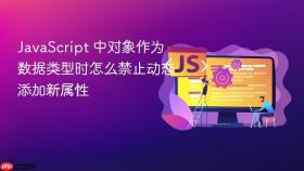 javascript 中对象作为数据类型时怎么禁止动态添加新属性