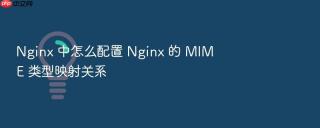 nginx 中怎么配置 nginx 的 mime 类型映射关系