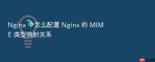 Nginx 中怎么配置 Nginx 的 MIME 类型映射关系