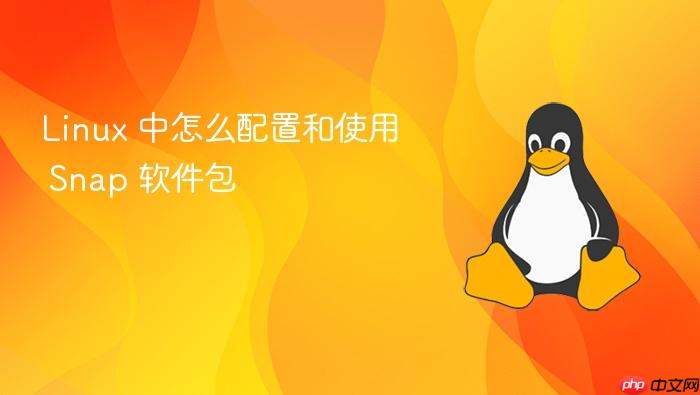 linux 中怎么配置和使用 snap 软件包