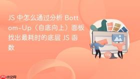 JS 中怎么通过分析 Bottom-Up（自底向上）面板找出最耗时的底层 JS 函数