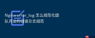 nginx error_log 怎么规范化团队开发的错误日志规范