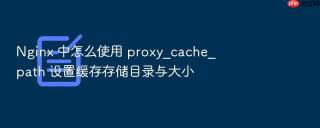 nginx 中怎么使用 proxy_cache_path 设置缓存存储目录与大小
