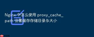 Nginx 中怎么使用 proxy_cache_path 设置缓存存储目录与大小