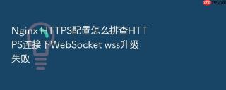 nginx https配置怎么排查https连接下websocket wss升级失败