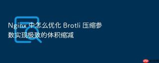 Nginx 中怎么优化 Brotli 压缩参数实现极致的体积缩减