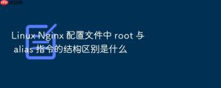 Linux Nginx 配置文件中 root 与 alias 指令的结构区别是什么