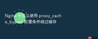 Nginx 中怎么使用 proxy_cache_bypass 配置条件绕过缓存