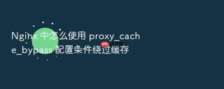 nginx 中怎么使用 proxy_cache_bypass 配置条件绕过缓存