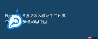 Nginx TLS协议怎么验证生产环境中的 TLS 安全加固评级