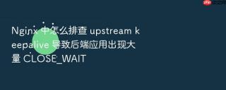 Nginx 中怎么排查 upstream keepalive 导致后端应用出现大量 CLOSE_WAIT