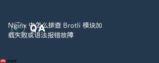 nginx 中怎么排查 brotli 模块加载失败或语法报错故障