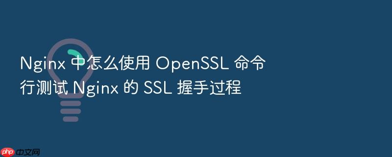 nginx 中怎么使用 openssl 命令行测试 nginx 的 ssl 握手过程