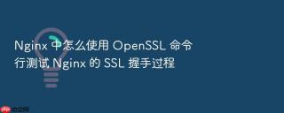 nginx 中怎么使用 openssl 命令行测试 nginx 的 ssl 握手过程