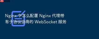Nginx 中怎么配置 Nginx 代理带有子协议协商的 WebSocket 服务