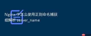 nginx 中怎么使用正则命名捕获组解析 server_name