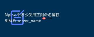 Nginx 中怎么使用正则命名捕获组解析 server_name
