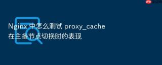 nginx 中怎么测试 proxy_cache 在主备节点切换时的表现