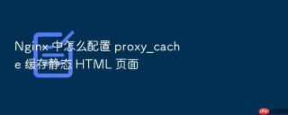 nginx 中怎么配置 proxy_cache 缓存静态 html 页面