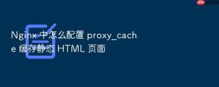 Nginx 中怎么配置 proxy_cache 缓存静态 HTML 页面