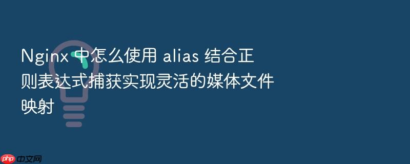 nginx 中怎么使用 alias 结合正则表达式捕获实现灵活的媒体文件映射