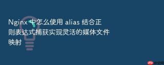 Nginx 中怎么使用 alias 结合正则表达式捕获实现灵活的媒体文件映射