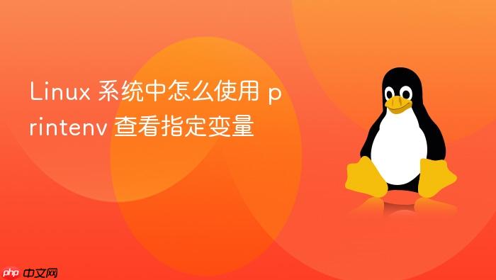 linux 系统中怎么使用 printenv 查看指定变量