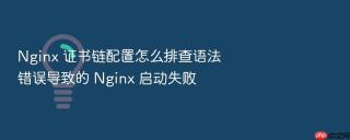 Nginx 证书链配置怎么排查语法错误导致的 Nginx 启动失败