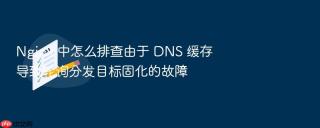 Nginx 中怎么排查由于 DNS 缓存导致轮询分发目标固化的故障