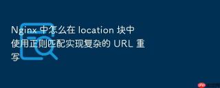 Nginx 中怎么在 location 块中使用正则匹配实现复杂的 URL 重写