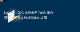 nginx 中怎么排查由于 dns 缓存导致轮询分发目标固化的故障