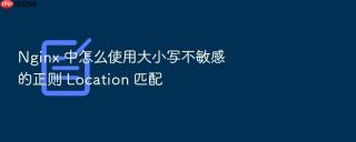 Nginx 中怎么使用大小写不敏感的正则 Location 匹配