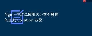 nginx 中怎么使用大小写不敏感的正则 location 匹配