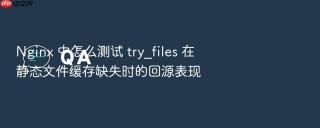 nginx 中怎么测试 try_files 在静态文件缓存缺失时的回源表现