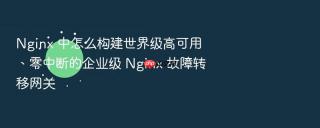 Nginx 中怎么构建世界级高可用、零中断的企业级 Nginx 故障转移网关