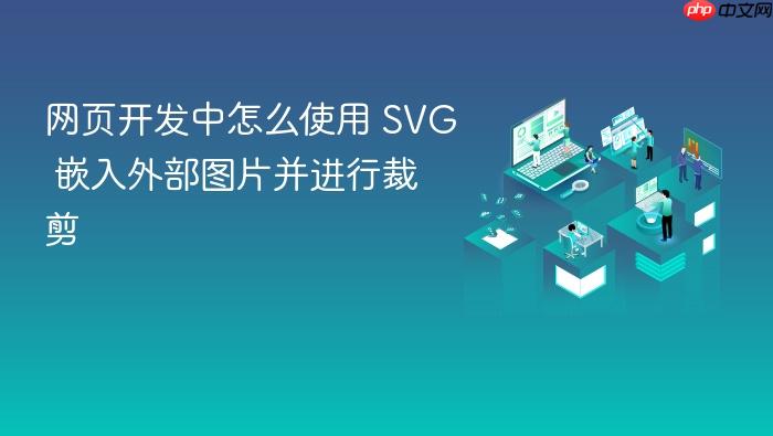网页开发中怎么使用 svg 嵌入外部图片并进行裁剪