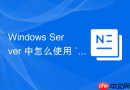 Windows Server 中怎么使用 `netsh dhcp` 命令在命令行中管理 DHCP 作用域