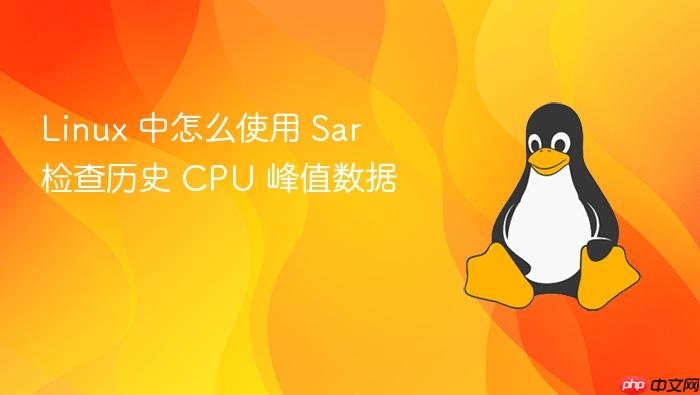 linux 中怎么使用 sar 检查历史 cpu 峰值数据