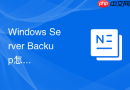 Windows Server Backup怎么配置排除特定文件类型减少备份体积